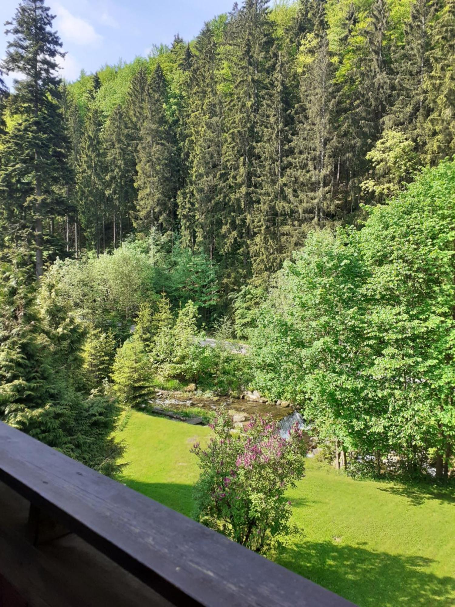 Apartamenty Kaskada Międzygórze Habitación foto